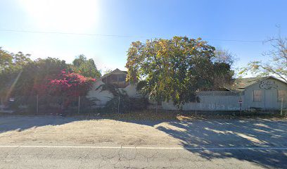 A sunny suburban street with trees and a driveway.